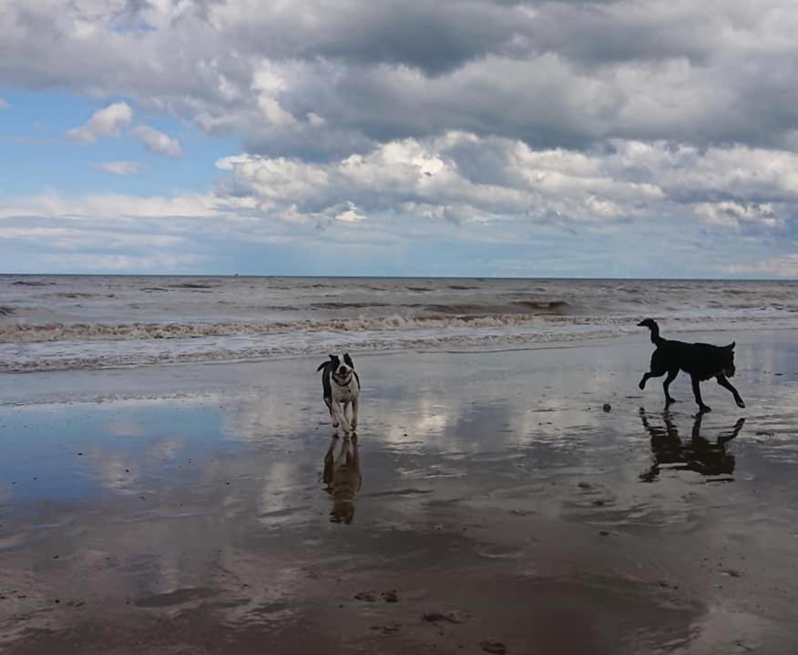 Bridlington'S Bolt Hole Chalet المظهر الخارجي الصورة