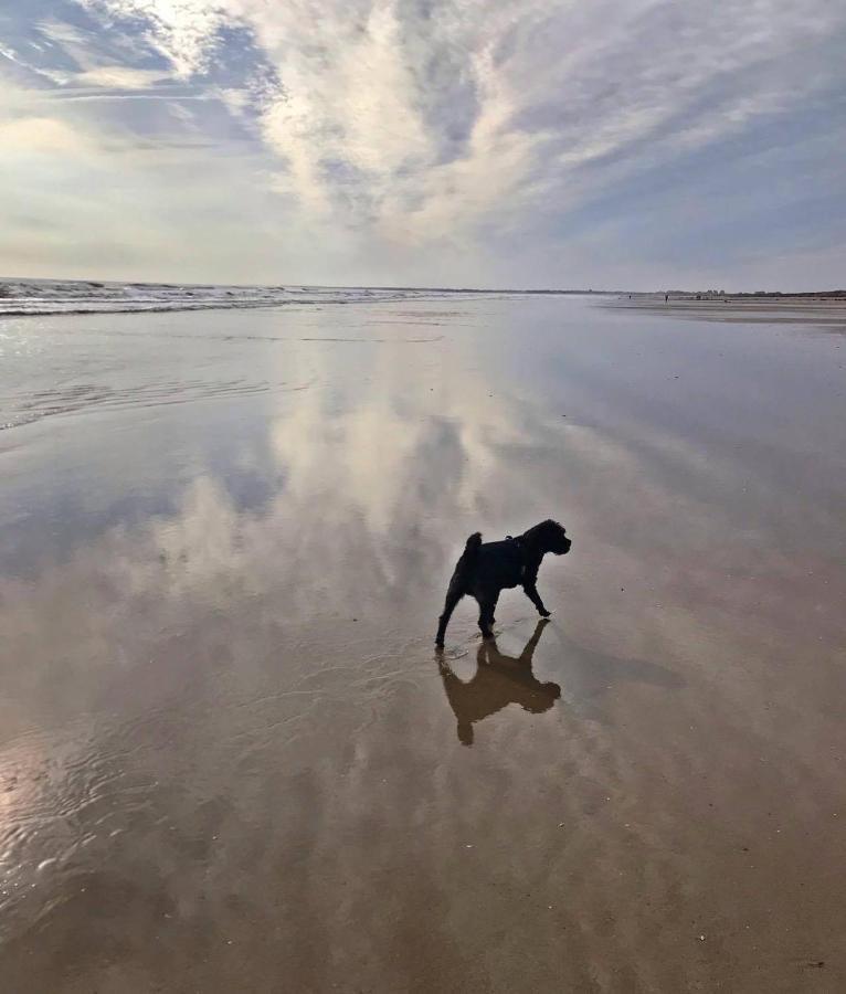 Bridlington'S Bolt Hole Chalet المظهر الخارجي الصورة
